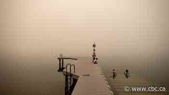 The kids are not all right: How young people are dealing with increasing climate anxiety