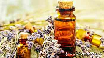 Fiori di Bach contro ansia e stress: funzionano davvero?