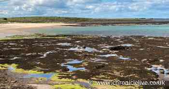 Coastguard and RNLI warning to Northumberland beach-goers ahead of Bank Holiday weekend