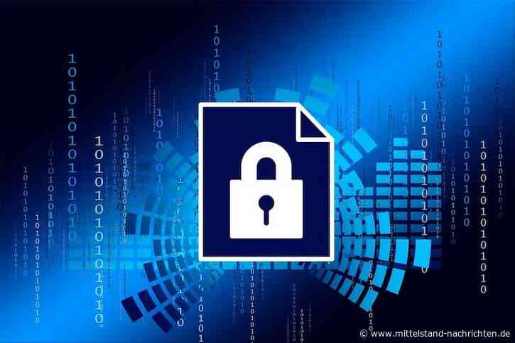 Smartphones vor Cyberkriminelle schützen