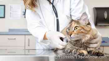 New Virginia Beach urgent veterinary care opens with a goal