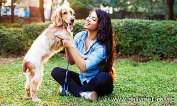 Forget man's best friend! Dogs listen to WOMEN more than men, study finds