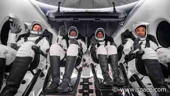 SpaceX Crew-7 astronauts rehearse ahead  of Aug. 25 launch (photos)