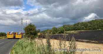 Wildfire size of six football fields comes within metres of Sunderland homes