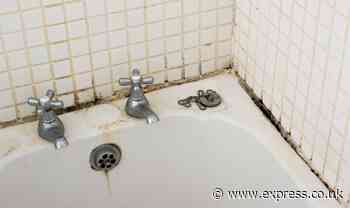 ‘Homemade’ paste is one of the ‘best’ natural methods for cleaning dirty tile grout