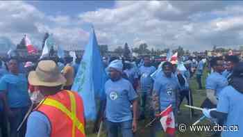 Why Eritreans in Canada are clashing at  festivals