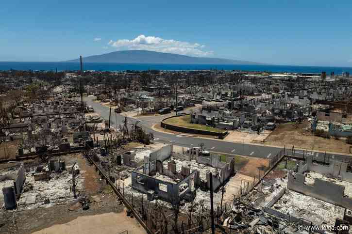 Hawaii officials urge families of people missing after deadly fires to give DNA samples
