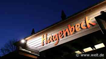 Prügelnde Affen, nervöse Elefanten – bricht bei Hagenbeck jetzt das Chaos aus?