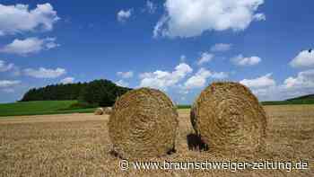 Schon zum dritten Mal: Wieder brennen Strohballen in Königslutter