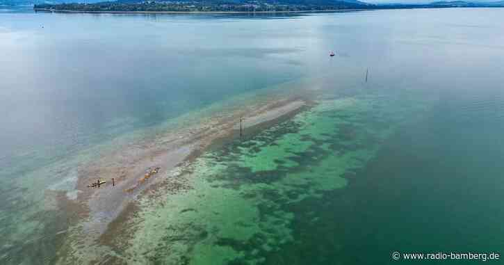 Verein will 130 Jahre altes Dampfschiff aus Bodensee bergen