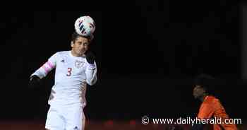 Boys soccer: Scouting DuPage County