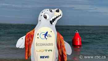 Meet Kenny, the decoy seal Quebec researchers are using to attract sharks