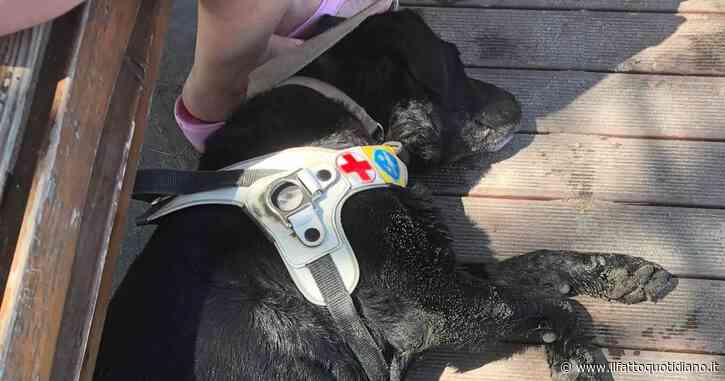 Turista non vedente aggredita in spiaggia per aver introdotto il suo cane guida. La sua denuncia: “Demoralizzante”