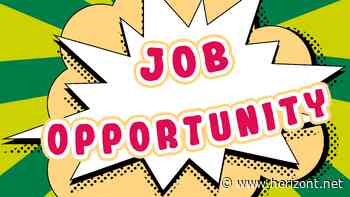 Karriere: Gut jeder zweite Werber ist aktuell auf Jobsuche