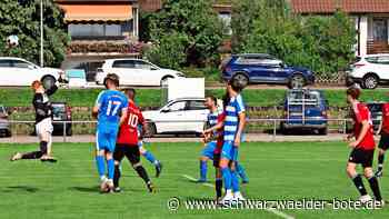 Calwer Kreisliga A: Drei Bezirksliga-Absteiger heben das Niveau