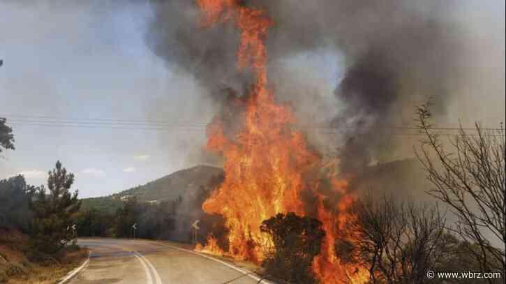 Flames devour forests and homes as wildfires that have left 20 dead in Greece burn out of control