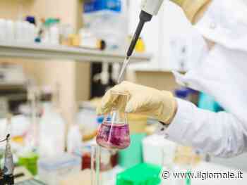 Tumore al seno e alle ovaie, scoperto il meccanismo di protezione