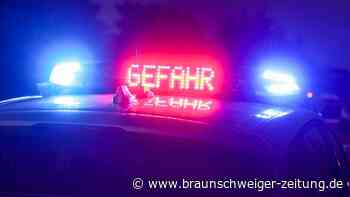 Fußgängerin gefährdet Verkehr auf A7 bei Seesen