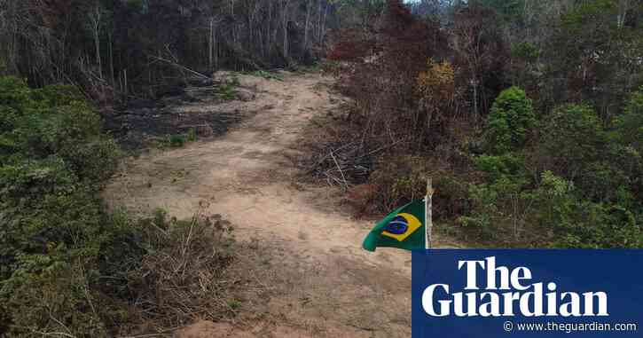 Amazon’s emissions ‘doubled’ under first half of Bolsonaro presidency