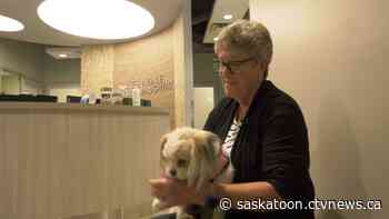 'She was coughing, and choking and hacking': Warning for Saskatoon dog owners about harmful weed