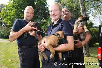 Schloß Holte-Stukenbrock: Polizei-Nachwuchs auf vier Pfoten