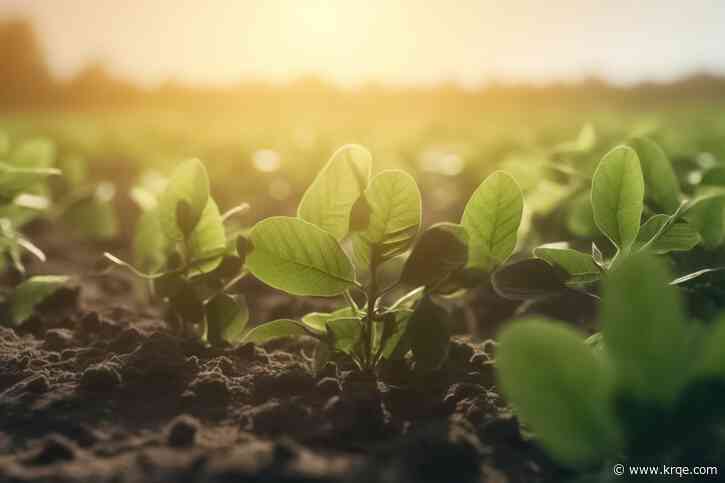 Over $600k in federal funding going towards New Mexico specialty crops