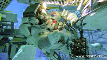 SpaceX Crew-7 astronauts will handle over 200 science experiments on ISS