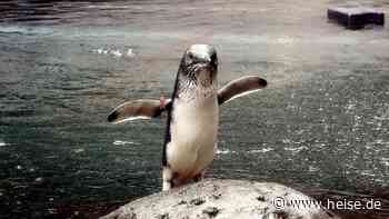 CDU-Vorschlag: Streit über Vorrang für Open Source im Thüringer Vergaberecht