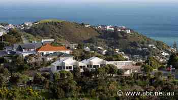 Six NZ friends built a new type of home. Are there lessons for Australians?