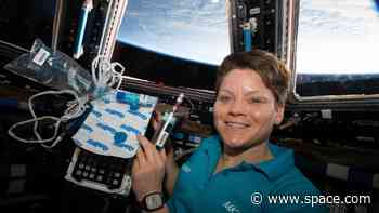 Good news for astronauts: Fatty tissue helps replenish bone and red blood cells in space