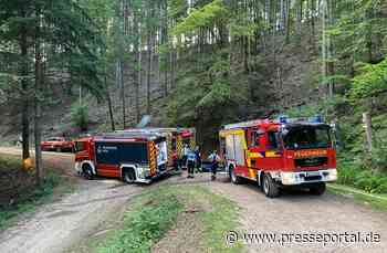 FW-OG: Waldbrand in Offenburger Ortsteil Zell-Weierbach