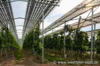 Photovoltaikanlagen am Steinbruch Niederntudorf nicht möglich