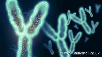 Scientists crack the Y chromosome code for the first time: Breakthrough could find new treatments for cancer and low sperm count that plague men