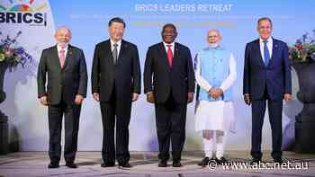Bricks? No, BRICS: The rising economic bloc hoping to rebalance world power