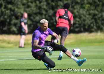 Okoye is the latest to leave Watford and join Udinese