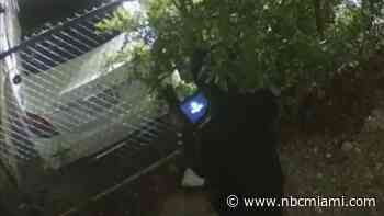 Thieves are using tablets to quickly steal cars. But there's a solution