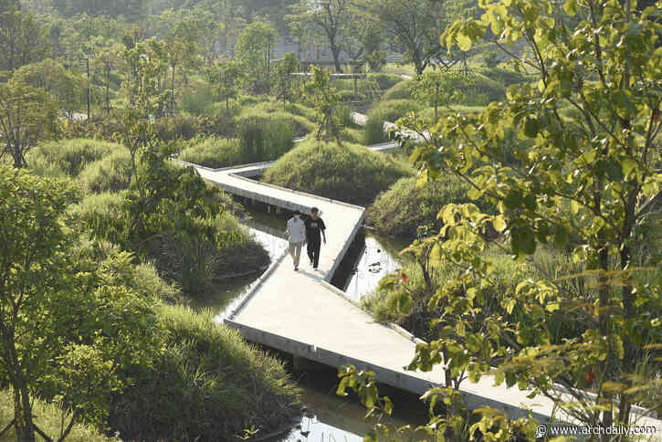 Rewilding in Architecture: Concepts, Applications, and Examples