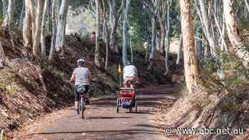 Bikes vs trains stalemate over Snowy Mountains rail tourism ventures