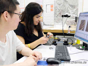 Mikroskopische Umwandlungen von Elektrodenoberflächen