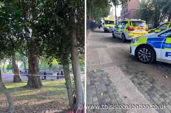 Man in hospital after 'fight and stabbing' in Stratford Park