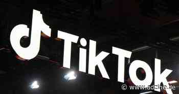 Tiktok steigt ins Search-Ads-Business ein