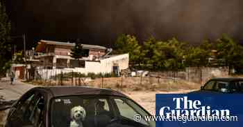 Greek firefighters struggle to contain blazes – in pictures