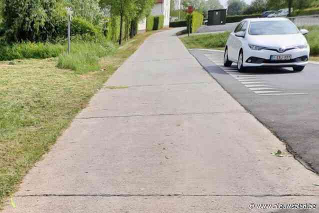 Fietspad Woestijne in het nieuw