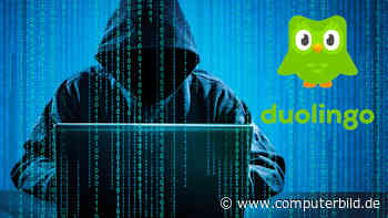 Gefahr bei Duolingo: Nutzerdaten in Hackerforum aufgetaucht