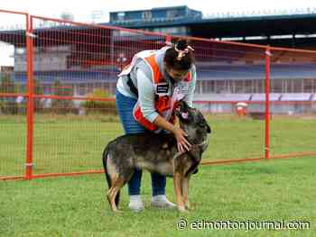 Edmonton weather: Showers in the morning, smoke in the evening, windy all the time