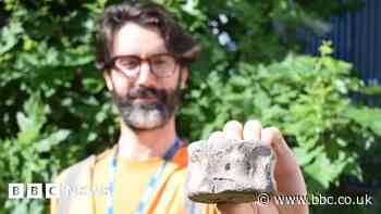 Cambridge dinosaur bone probably from Roman fossil hunter