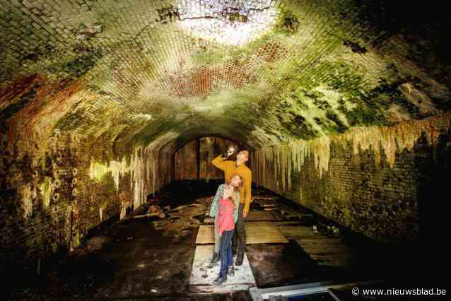 Vleermuizen spotten in hun overwinteringsplaats in het fort van Walem: “Het is hier soms een heuse paringsdiscotheek”