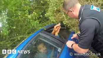 Dashcam shows Peterborough man's roundabout crash and arrest