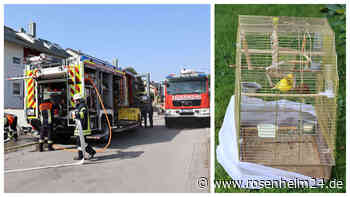 Einsatz in Ampfing: Essen angebrannt, Pfanne verbrannt, Wellensittich evakuiert