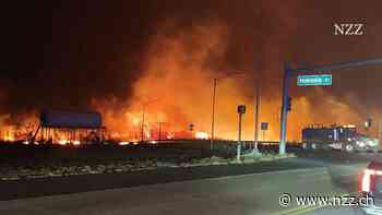 ERKLÄRT - Waldbrand in Hawaii: So kam es zur Katastrophe auf Maui